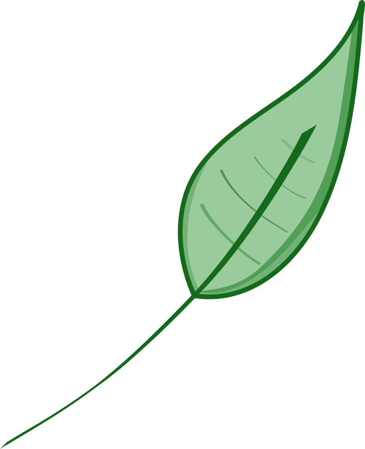 Leaf Green Leaves Clip Art Dromgdi Top - Green Leaf Clip Art (732x900)