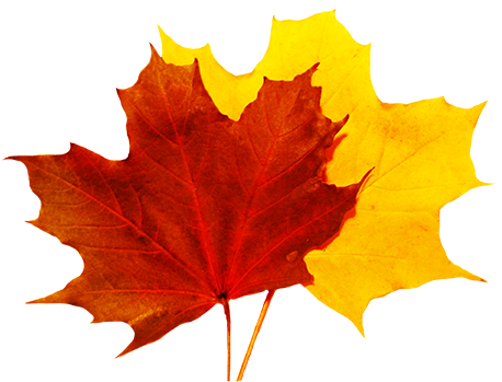 Fall Leaves Clip Art - Red And Yellow Leaf (640x480)