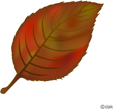 Fallen Leaves With Autumn Leaves｜pictures Of Clipart - イラスト 落葉 背景 透明 (480x480)