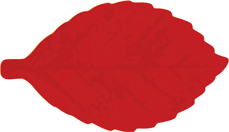 Fall Leaves Clipart Clip Art Library - Illustration (900x551)