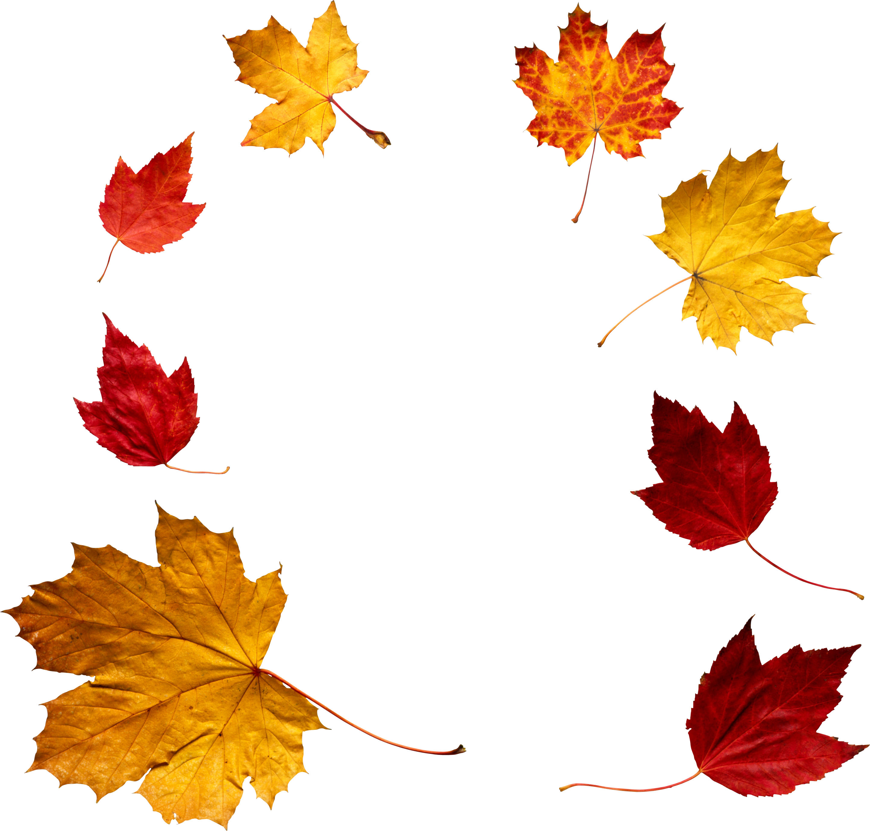 Image - Autumn Png (2889x2759)