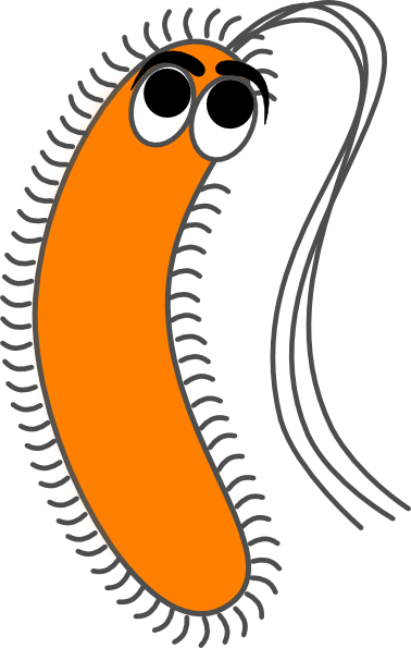 Moving Clipart Bacteria - Bacteria Clipart (378x595)