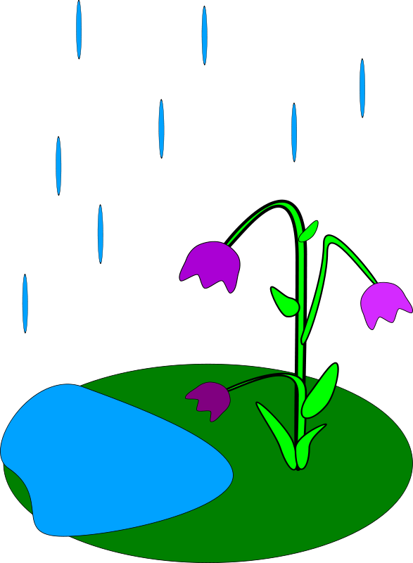Rain Clip Art Flowers - May Animated Clipart (587x800)