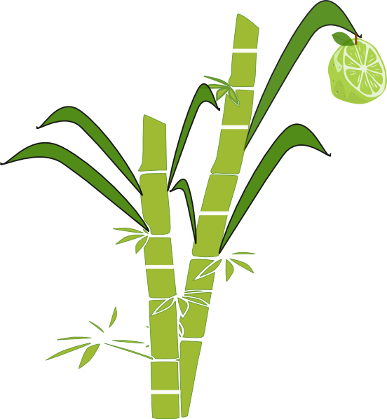 Free Sun Line Art, Download Free Clip Art, Free Clip - Sugar Cane Clipart (552x598)