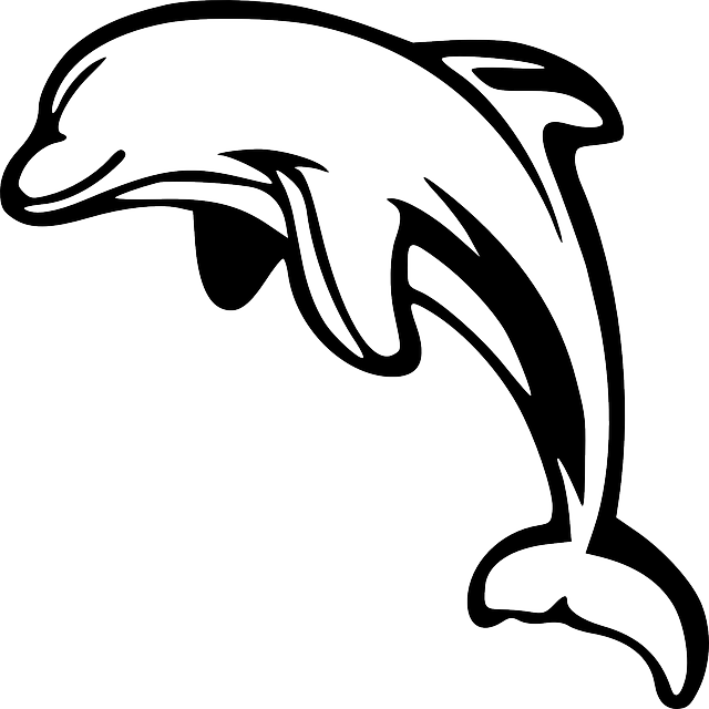 Dolphin Clipart Black And White Dolphin Leaping White - Dolphin Black And White (640x640)