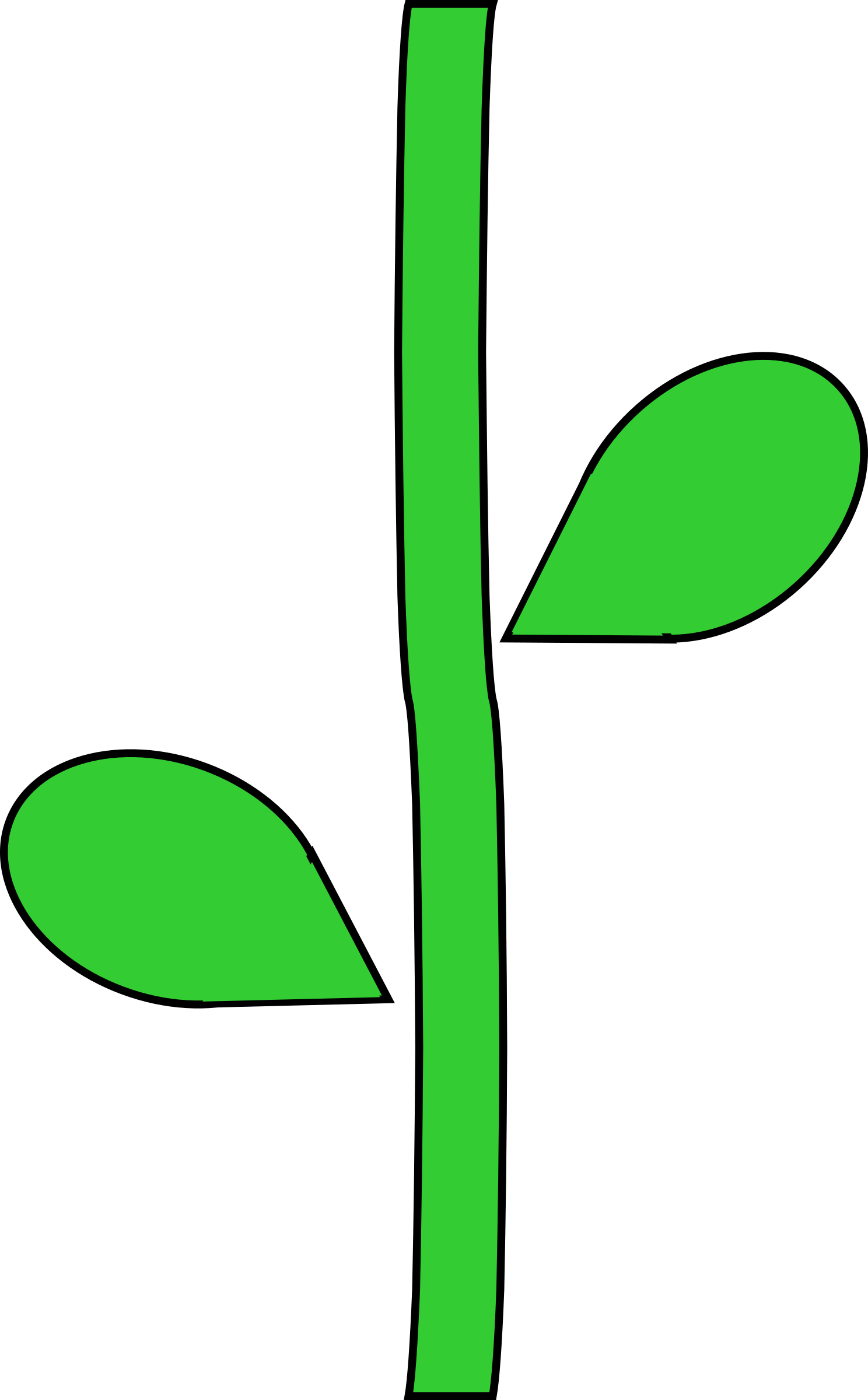 Stem Clipart - Plant Stem Clipart (1488x2400)