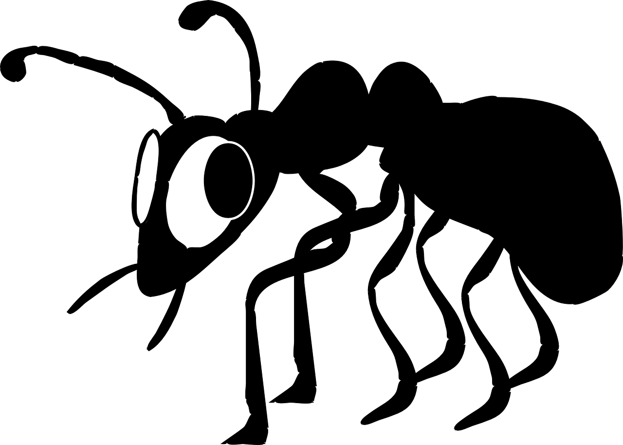 Free Vector Cartoon Ant Silhouette Clip Art - Black Ant Clip Art (1280x914)
