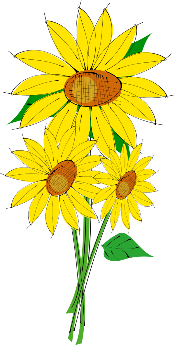 Sunflower Clipart - Sun Flowers Clip Art (600x1183)