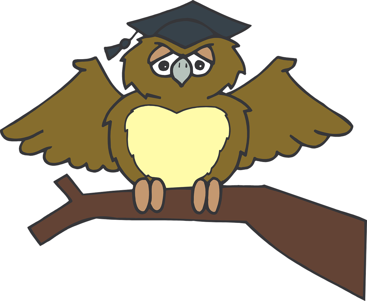 Owl Graduate Sitting Tree Branch Brown Wearing - Owl Graduation Clip Art Png (1280x1048)
