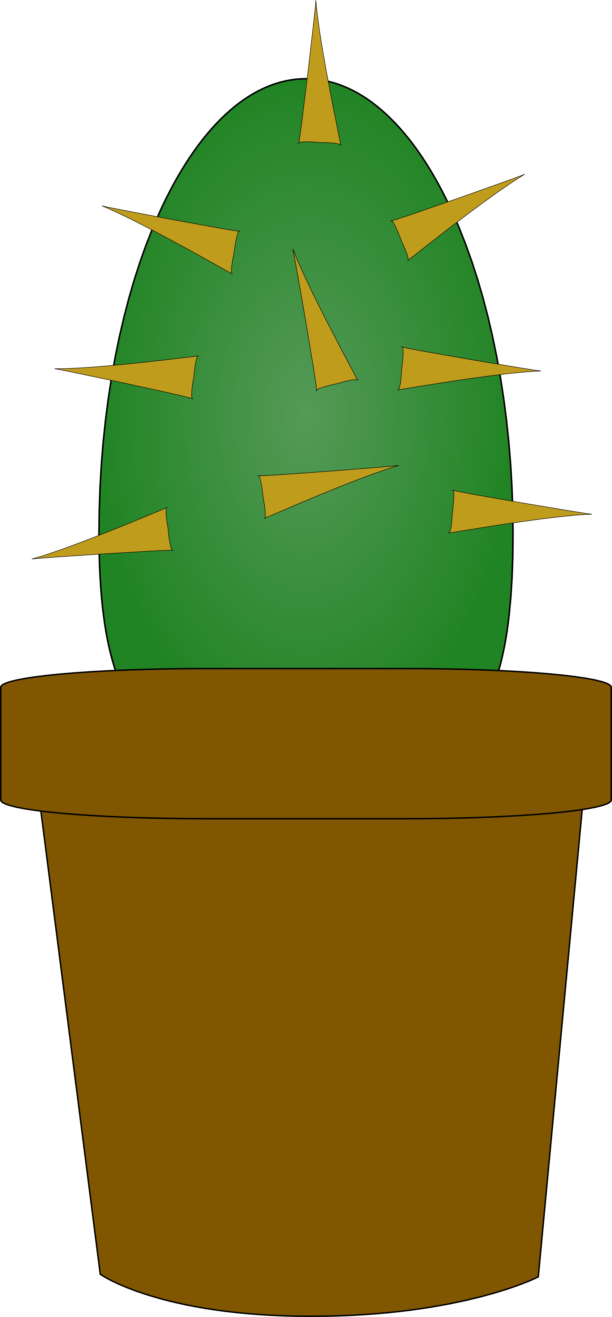 Cactus 8 Flower Youtube Background 555px 163 - Vector Kaktus (1979x4254)