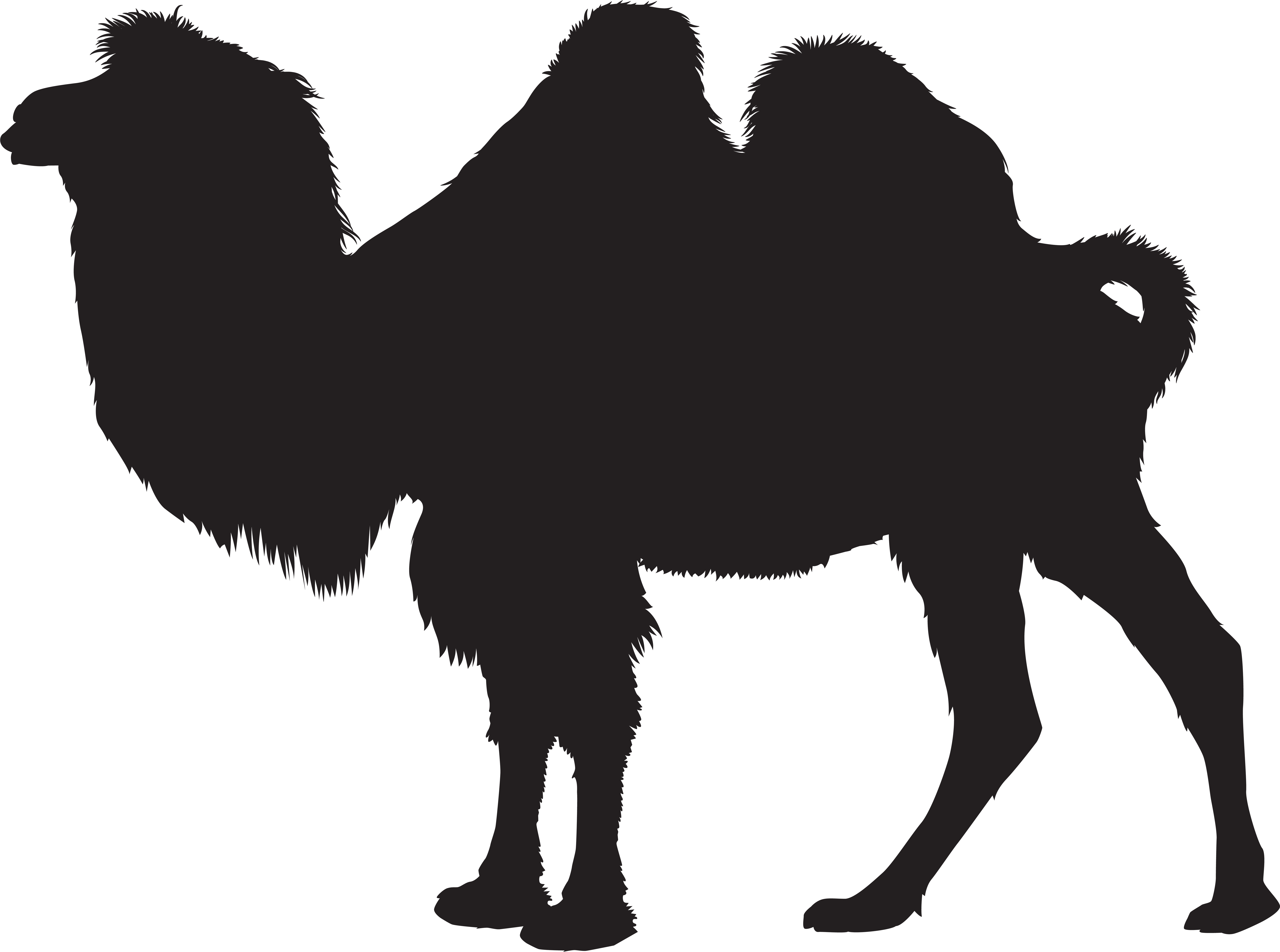 Camel Silhouette Png Clip Art Imageu200b Gallery Yopriceville - Portable Network Graphics (8000x5948)
