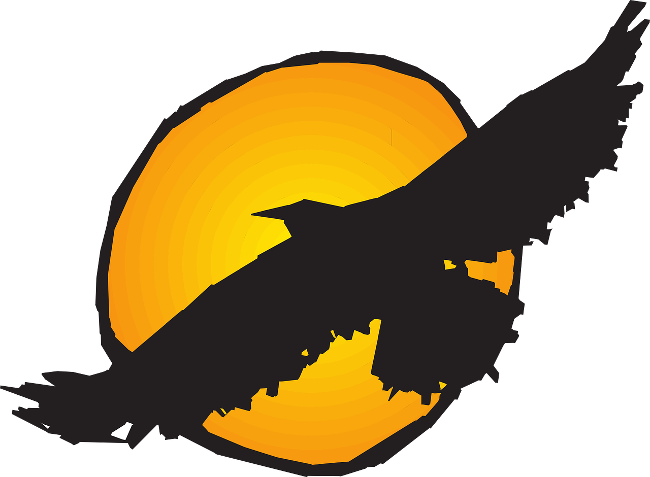 Sun Bird Flying Wings Hawk Fly Silhouette - A.i. Prince Technical High School (1280x940)