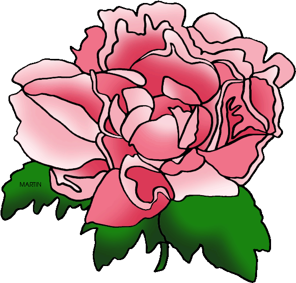 Indiana State Flower - Peonies Flower Clip Art (648x610)