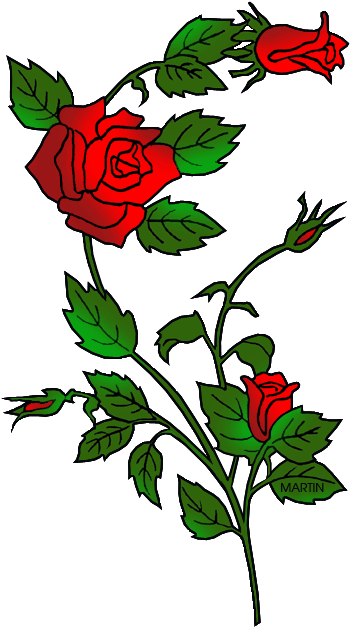 State Flower Of Oklahoma - Wedding Roses Embroidery Design (374x648)