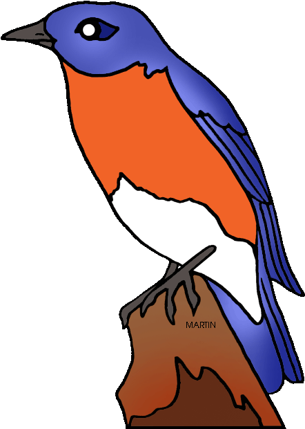 New York State Bird - New York State Bird (466x648)