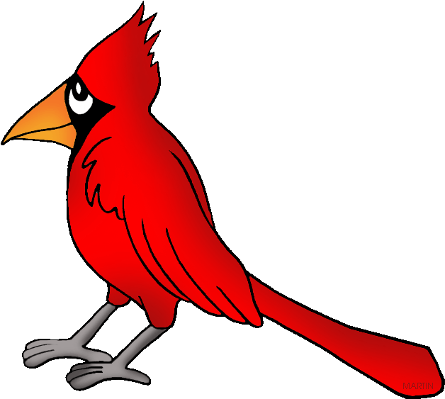 State Bird Of Kentucky - West Virginia State Bird Cartoon (648x599)