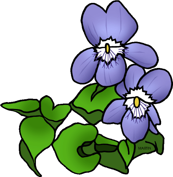 United States Clip Art By Phillip Martin, New Jersey - Violet Clip Art (619x648)