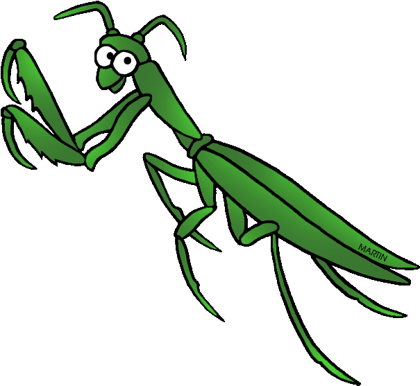 Free United States Clip Art By Phillip Martin, State - South Carolina State Insect (648x590)