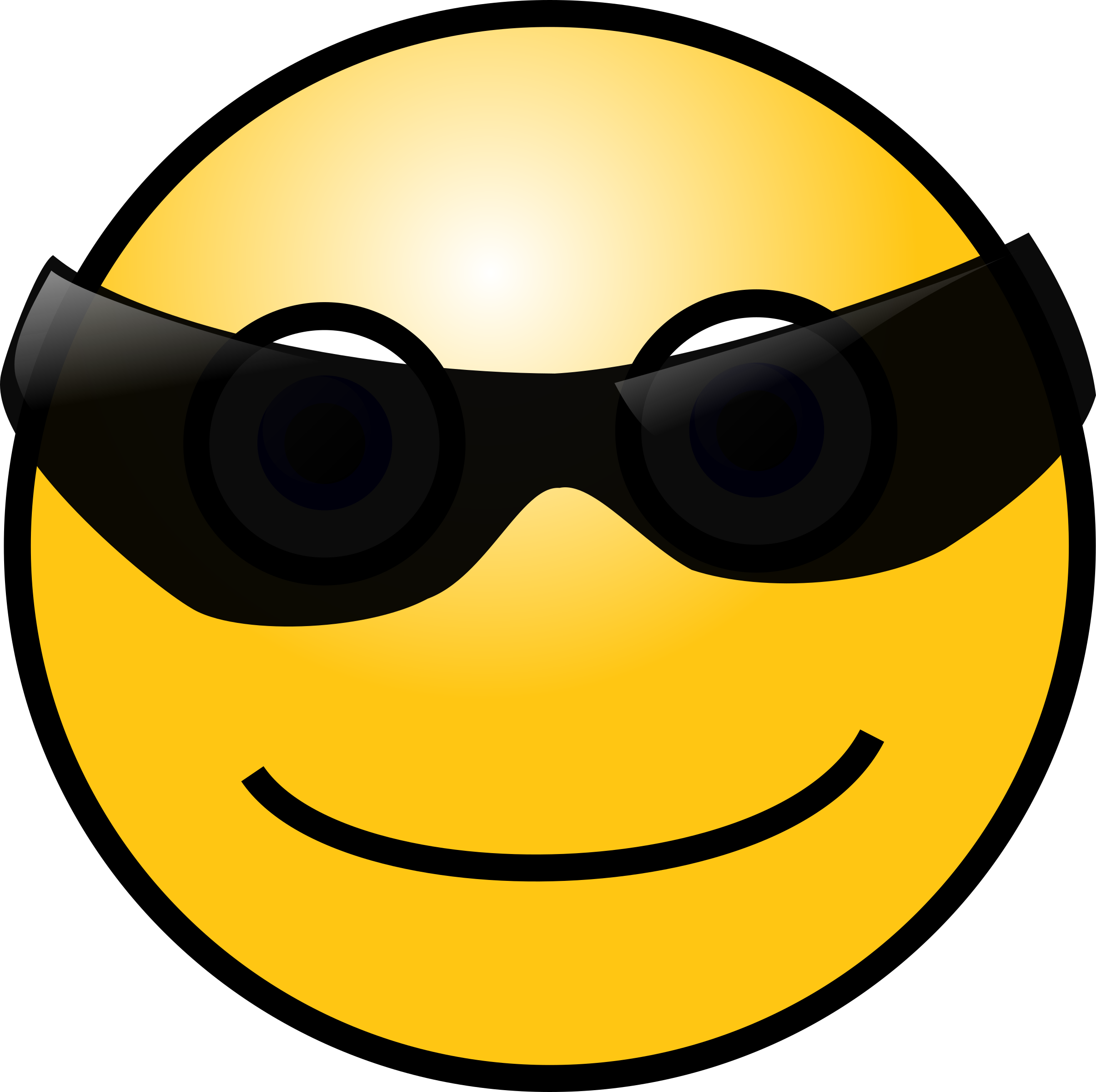Glass, People, Happy, Chat, Faces, Face, Sun - Smiley Lunettes De Soleil (2410x2400)