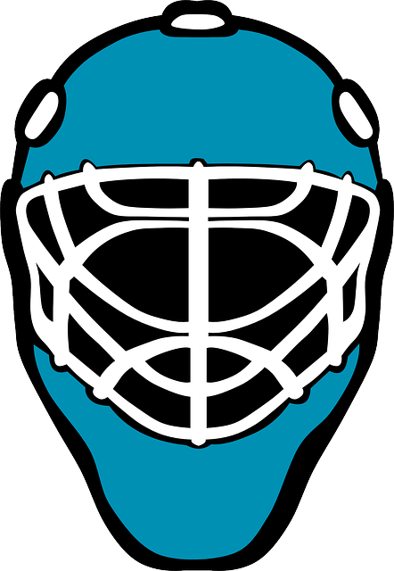 Ice Hockey Helmet Png (442x640)