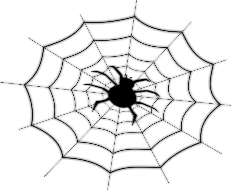 Free Clipart - Spider Web Shower Curtain (800x660)