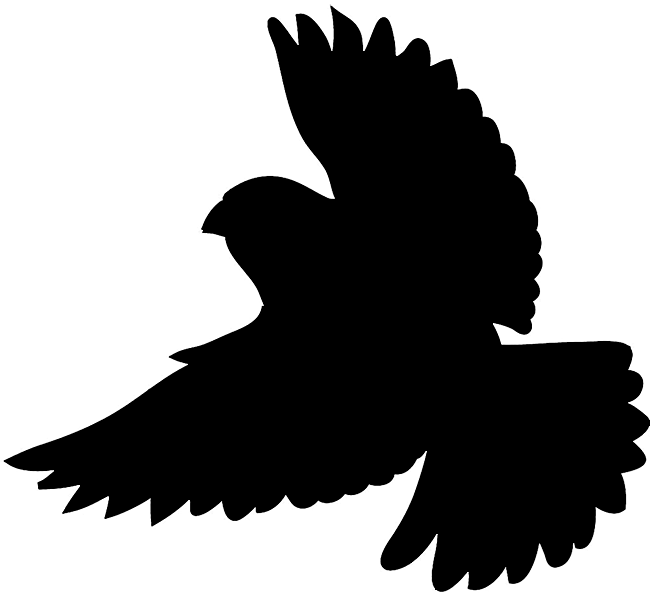 Bird Silhouette Silhouette Of Birds Clipart Image - Bird Silhouette (650x594)
