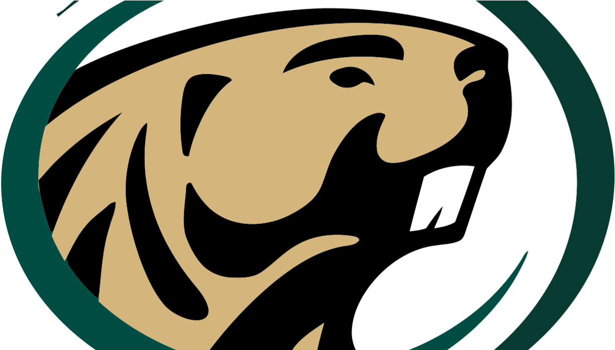 College Women's Hockey Playoff Preview - College Women's Hockey Playoff Preview (1240x698)
