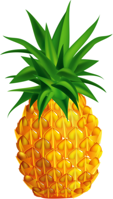 Ananas Png - Abacaxi Flamingo Desenho Png (370x650)
