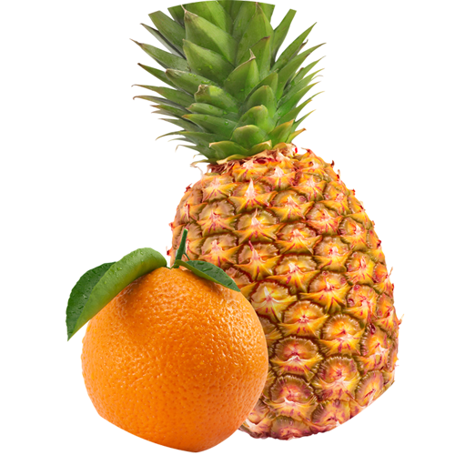 Orange Pineapple - Tangerine (500x500)