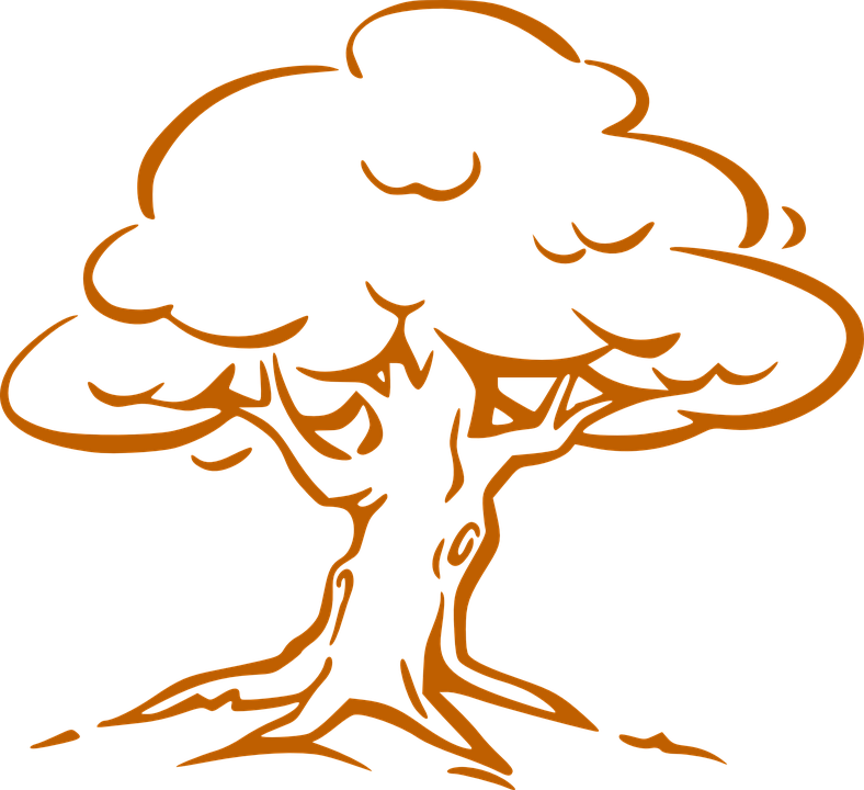 Tree Cliparts 3d 1, Buy Clip Art - Oak Tree Drawing Easy (788x720)