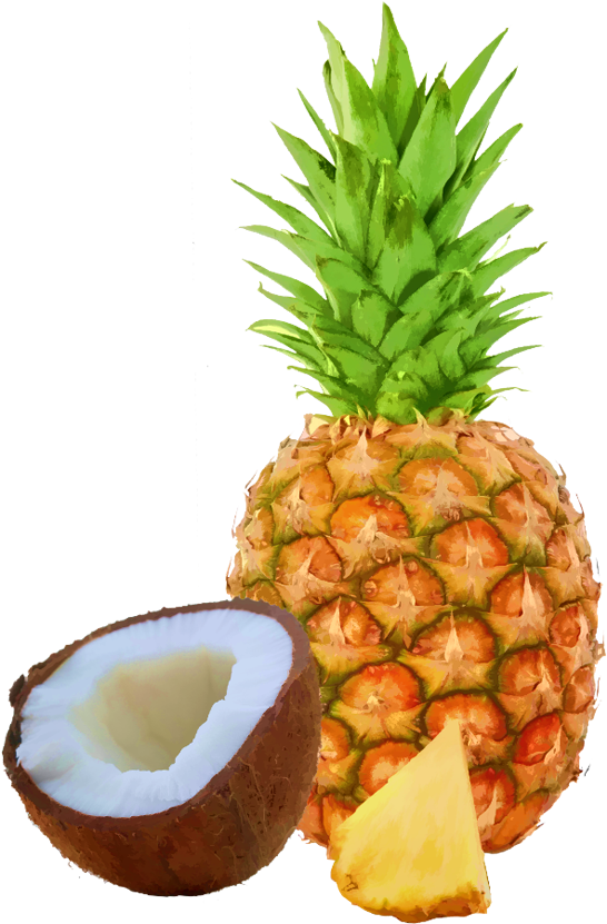 Pineapple Coconut Bar Case - Stainless Steel Fruit Pineapple Corer Slicers (900x900)