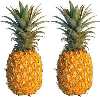 Image01 - Single Fruits And Vegetables (378x437)