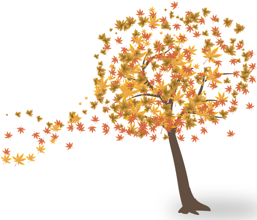 Autumn Tree Clipart - Arvore Outono Png (864x720)