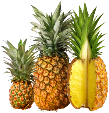 Pineapple Png - Sri Lanka Exports Fruit And Vegetable (400x400)