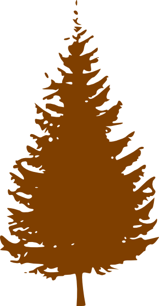 Brown Clipart Pine Tree - Pine Tree Silhouette Vector (312x598)