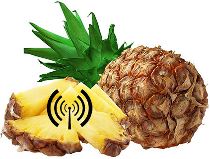 Of All Wifi-enabled Laptop And Mobile Phone Users In - Cafepress Pineapple Tile Coaster (423x319)