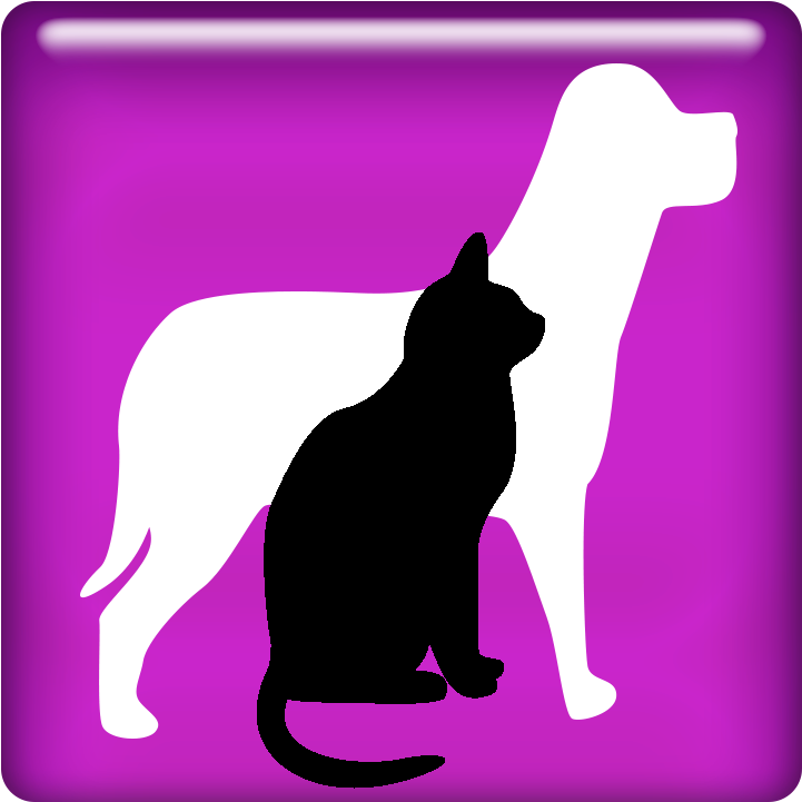 Lost & Found - Cat Silhouette Clip Art (750x750)