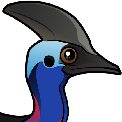 About The Southern Cassowary - Southern Cassowary (440x440)