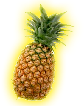 Thomas Fruit Carries A Complete And Diverse Product - High Quality Image Of A Pineapple (408x353)