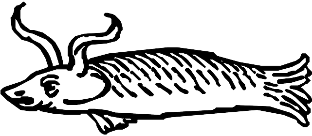 Fish, Ocean, Horns, Sea, Looking, Scales - Fish, Ocean, Horns, Sea, Looking, Scales (640x320)