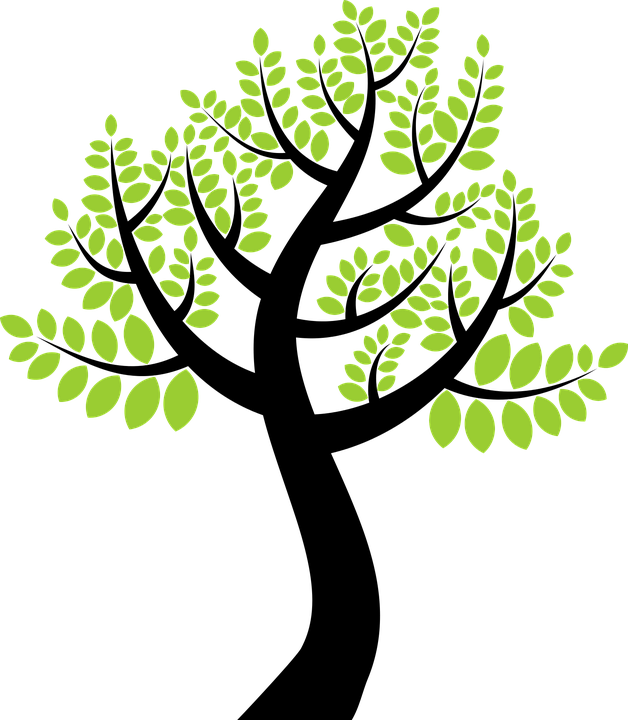Willow Tree Clipart 29, Buy Clip Art - Arvores Coloridas Vetor Png (628x720)