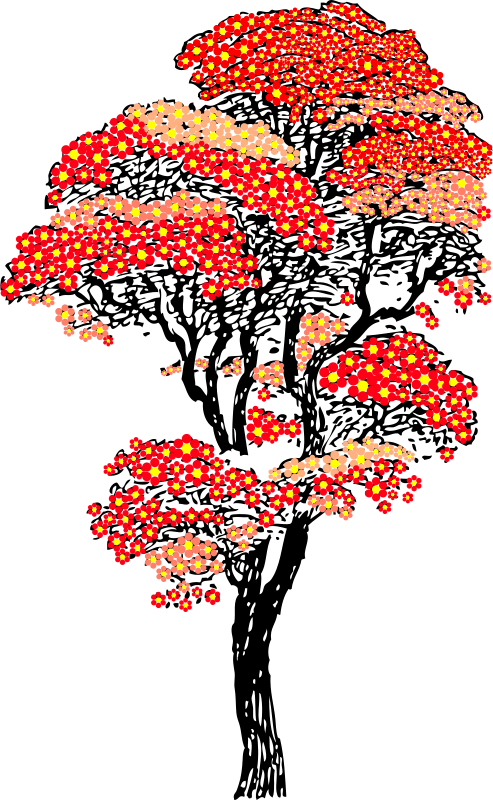 Free Red Aifowers Tree - Cherry Blossom Tree Clipart (493x800)