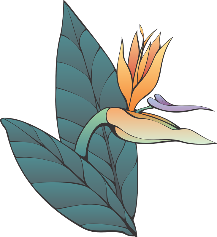 Jueves, 25 De Febrero De - Illustration (731x800)