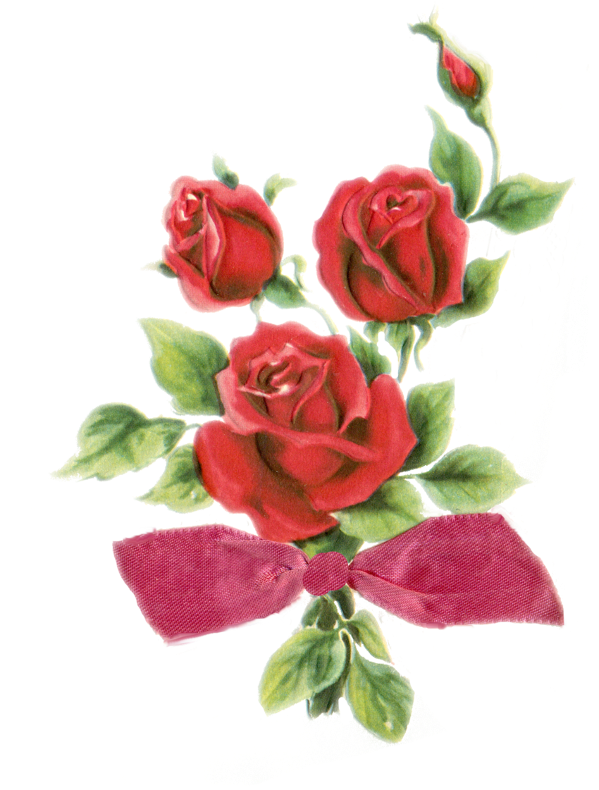 More Artists Like Frame Png With Roses By Melissa-tm - Blahoželanie K 20 Narodeninám (900x1127)