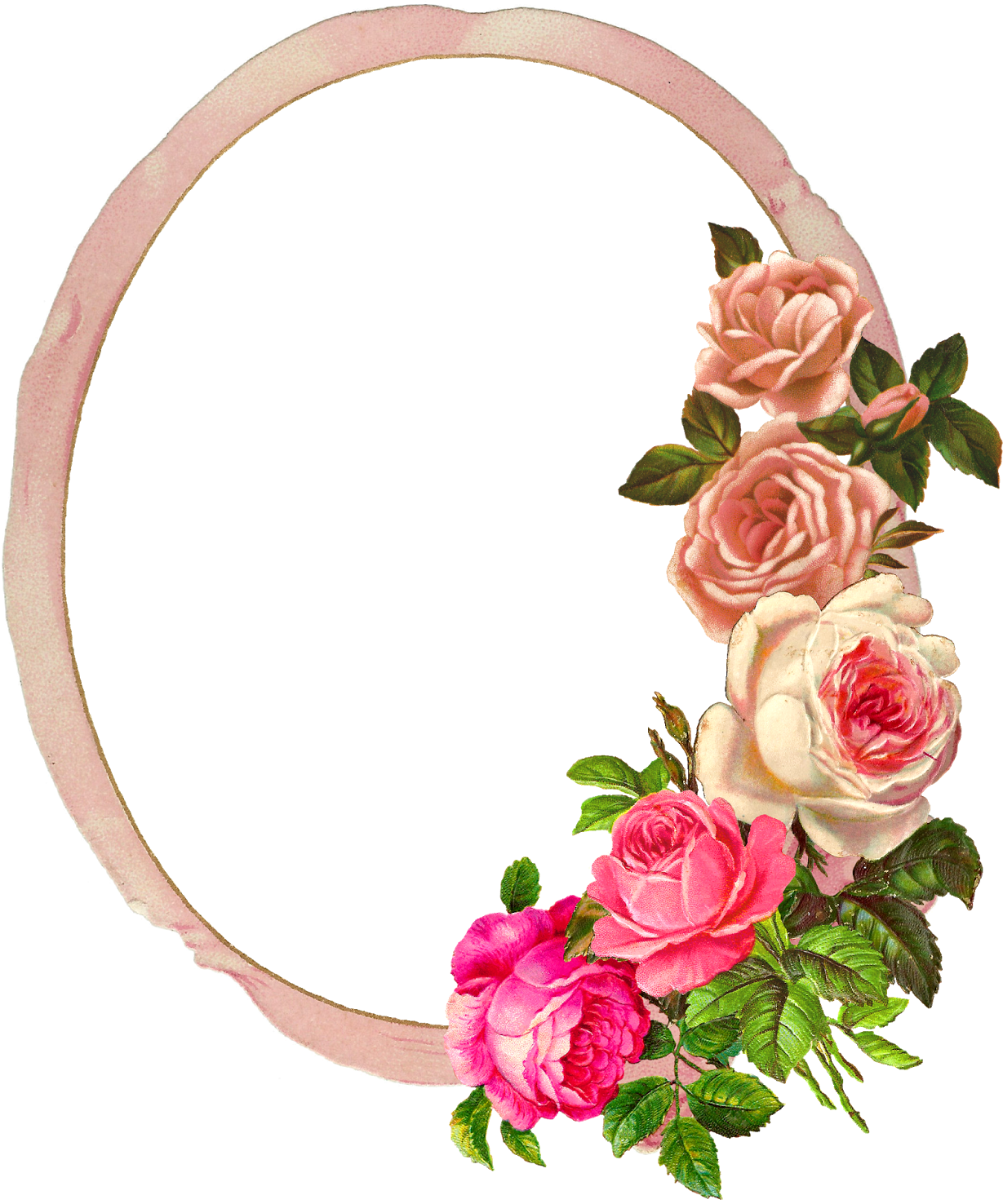 Frame Rose Digital Image Flower - Pink Rose Frame Png (1335x1600)