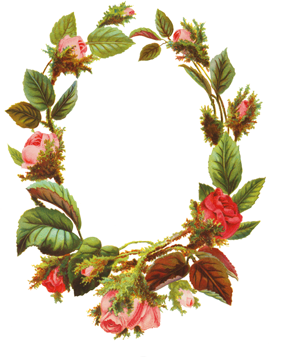 A Flower Png With Roses Making A Flower Frame - Frame Of Flower Png (565x709)