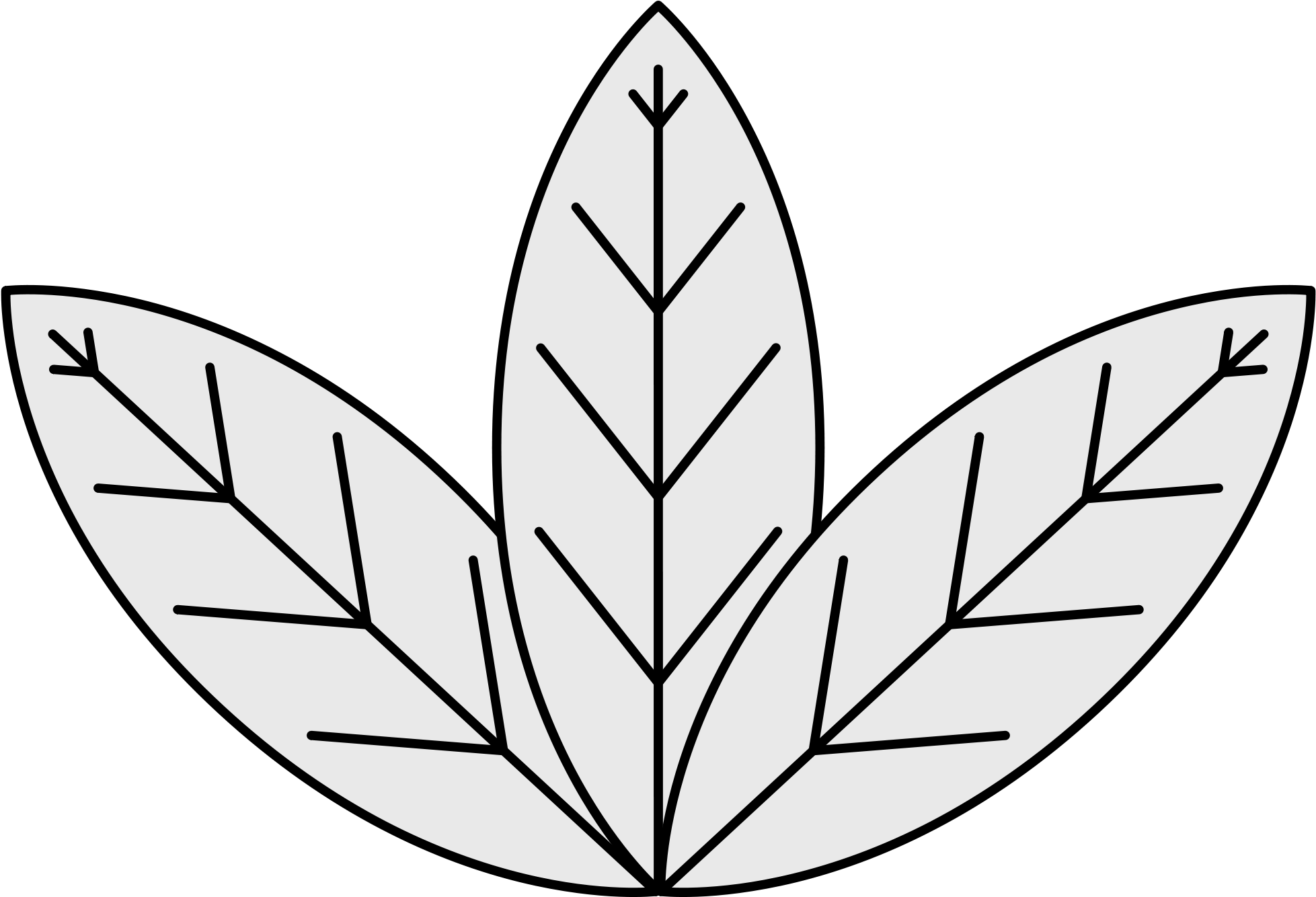 File - Easy To Draw Tobacco Plant (2000x1379)