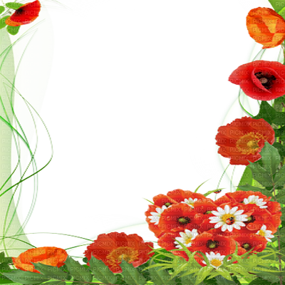 Poppy Flower Frame - Mother's Day Png Frames (400x400)