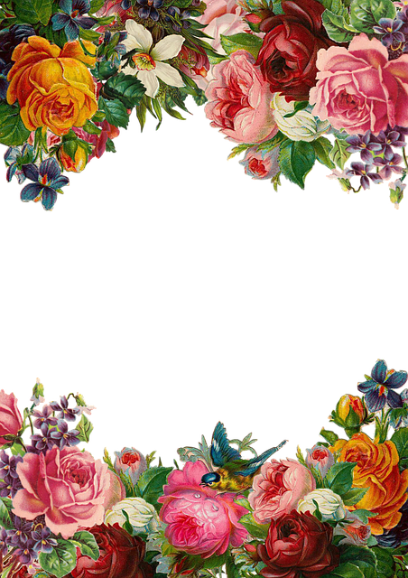 Flower, Rose, Frame, Collection, Vintage, Composition - Beautiful Flower Border (452x640)