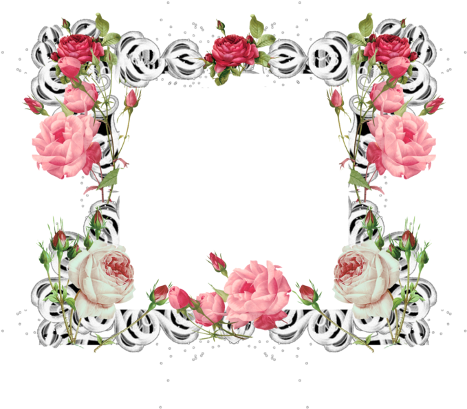 Rose Frame Png By Mysticmorning - 'rosa Indica Vulgaris' Poster Print By Pierre Redoute, (900x739)